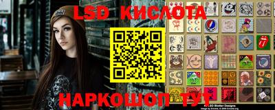 гидропоника Новозыбков