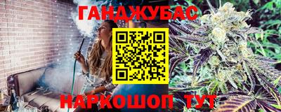 гидропоника Новозыбков