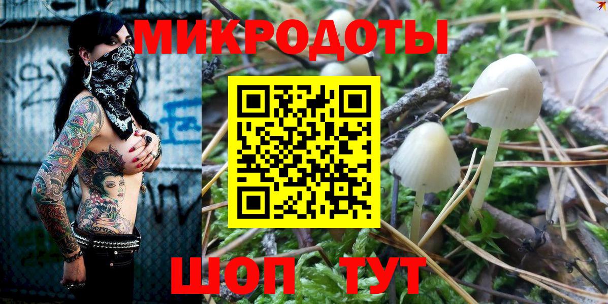 Псилоцибиновые грибы Cubensis Севастополь