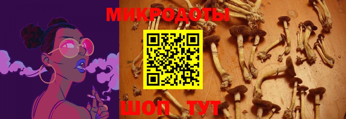 Псилоцибиновые грибы Psilocybe  Галлюциногенные грибы прущие грибы  Севастополь  Вход с VPN 